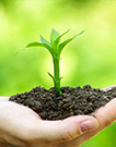 Soil environmental quality monitoring